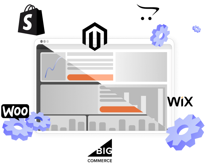 Website Migration & Data Transfer Services